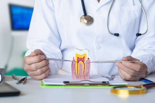 Best Broken or Chipped Tooth Repair in South Windham, CT